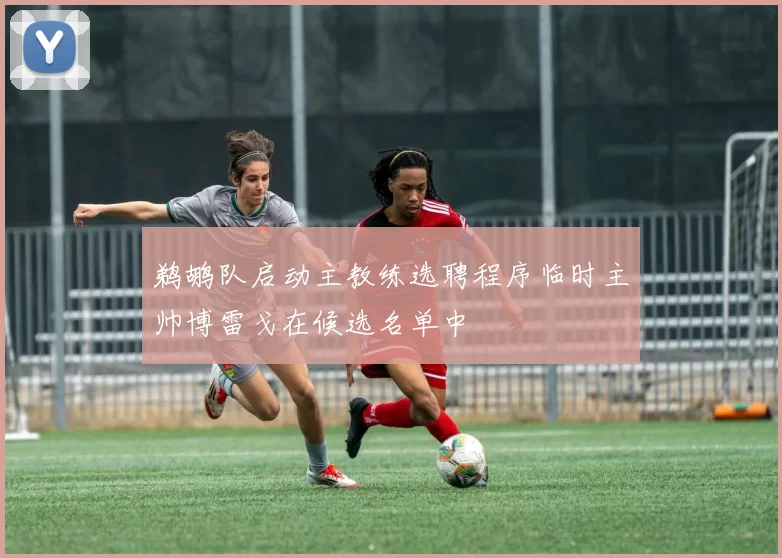 鹈鹕队启动主教练选聘程序临时主帅博雷戈在候选名单中