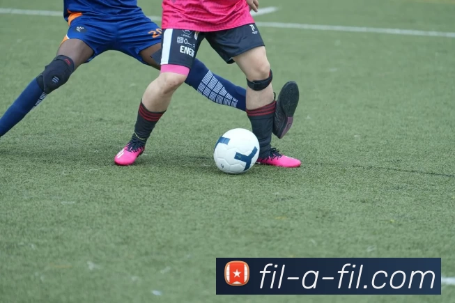 辅助工具